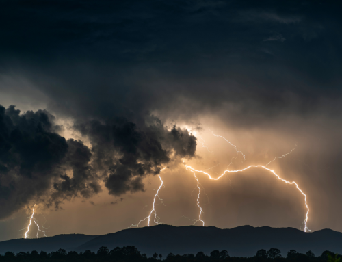 The Perfect LTC Storm Is Here
